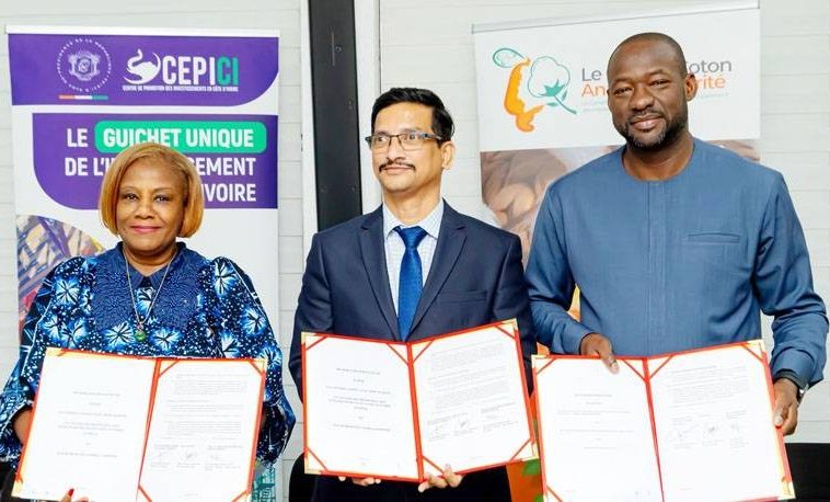 Transformation locale du cajou: Des investisseurs indiens misent 45 milliards FCFA dans la fabrication du cardanol